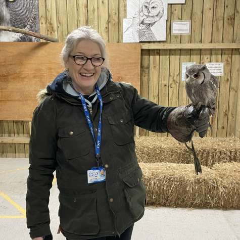 Liisa Owl