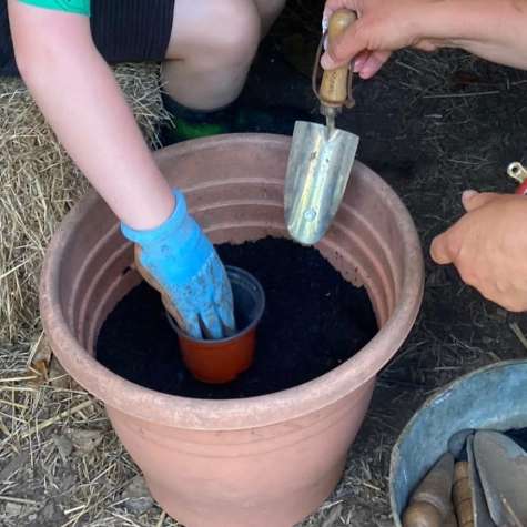 Planting