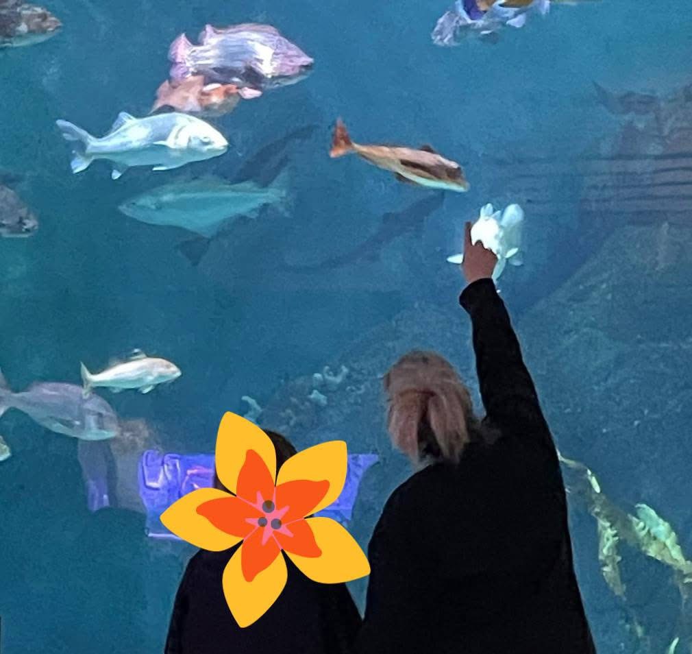 Plymouth Aquarium