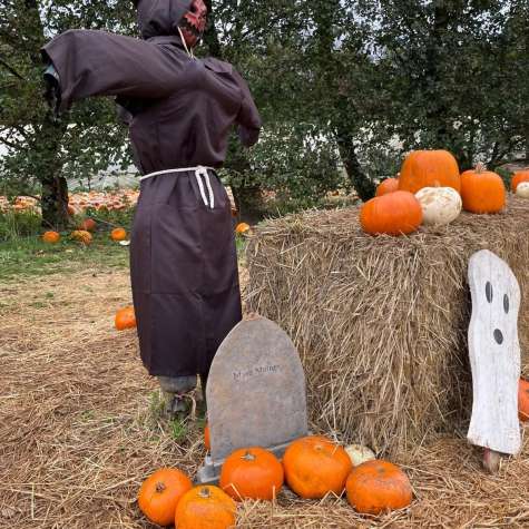 Pumpkin 2