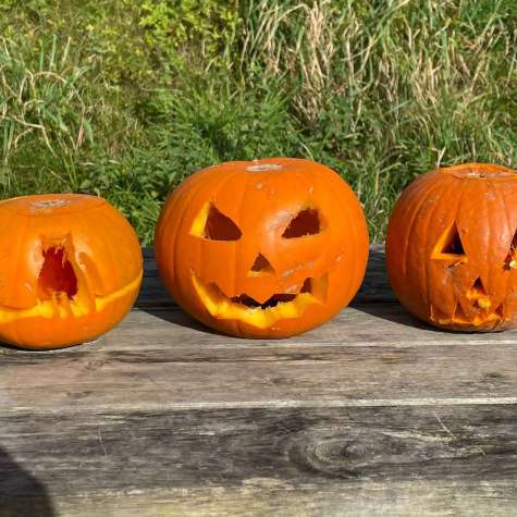 Pumpkins