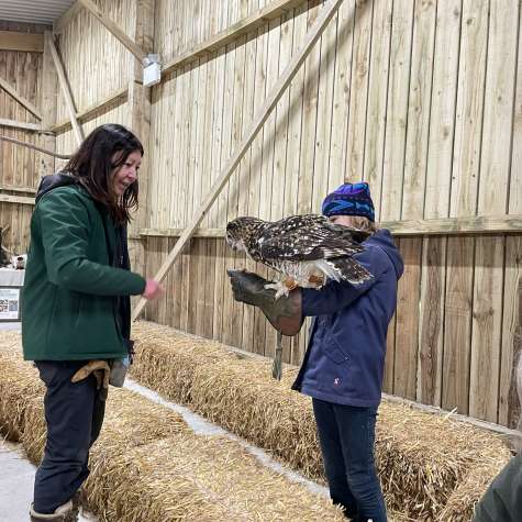 Student Owl