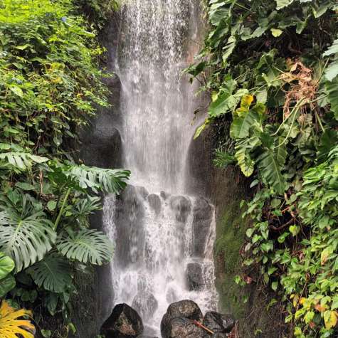 Waterfull Eden